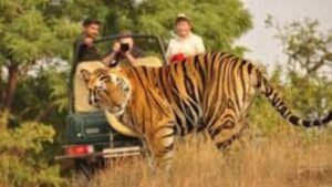 A Wild Escape into Nature